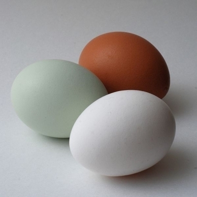 colored eggs